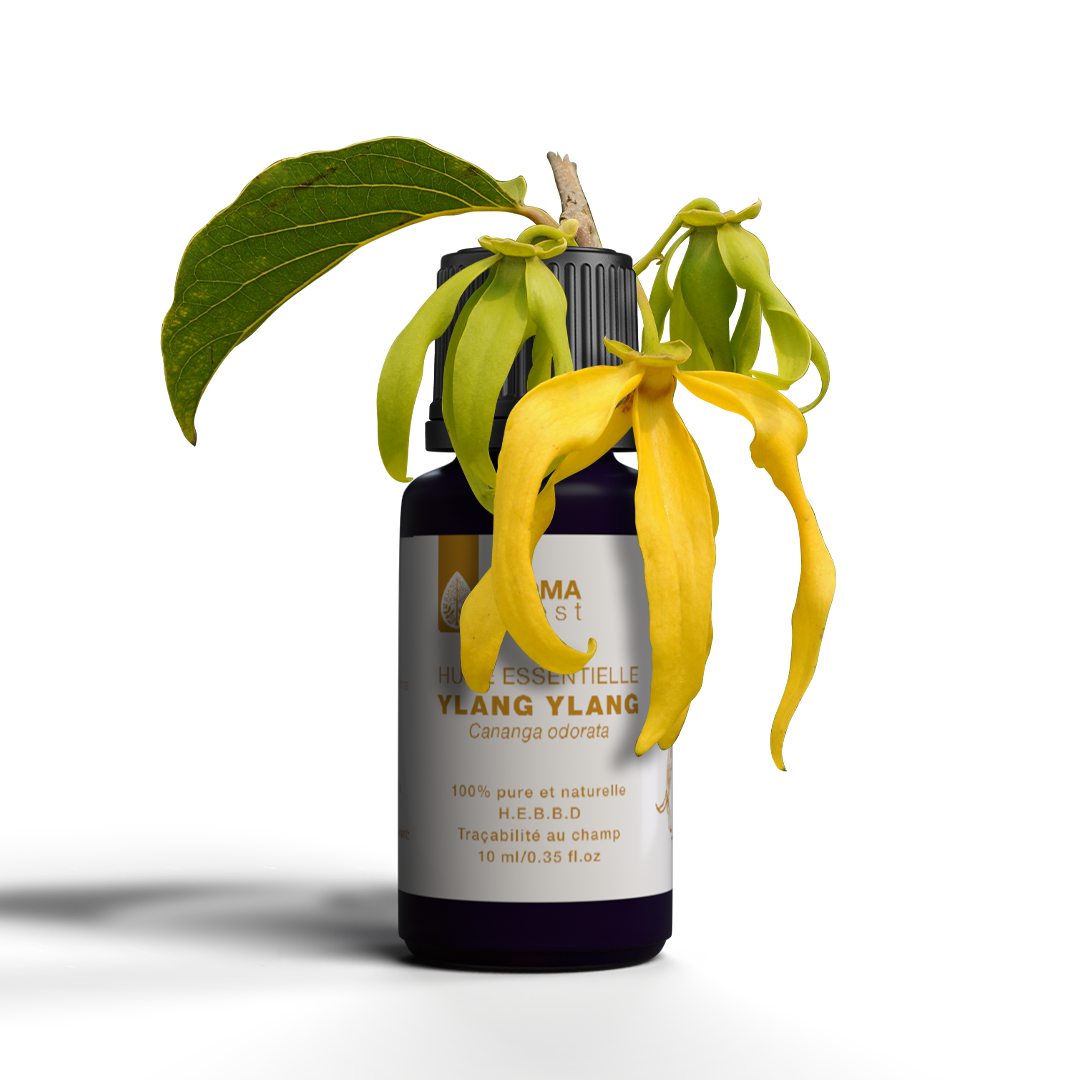 image HUILE ESSENTIELLE YLANG YLANG COMPLETEAroma Forest